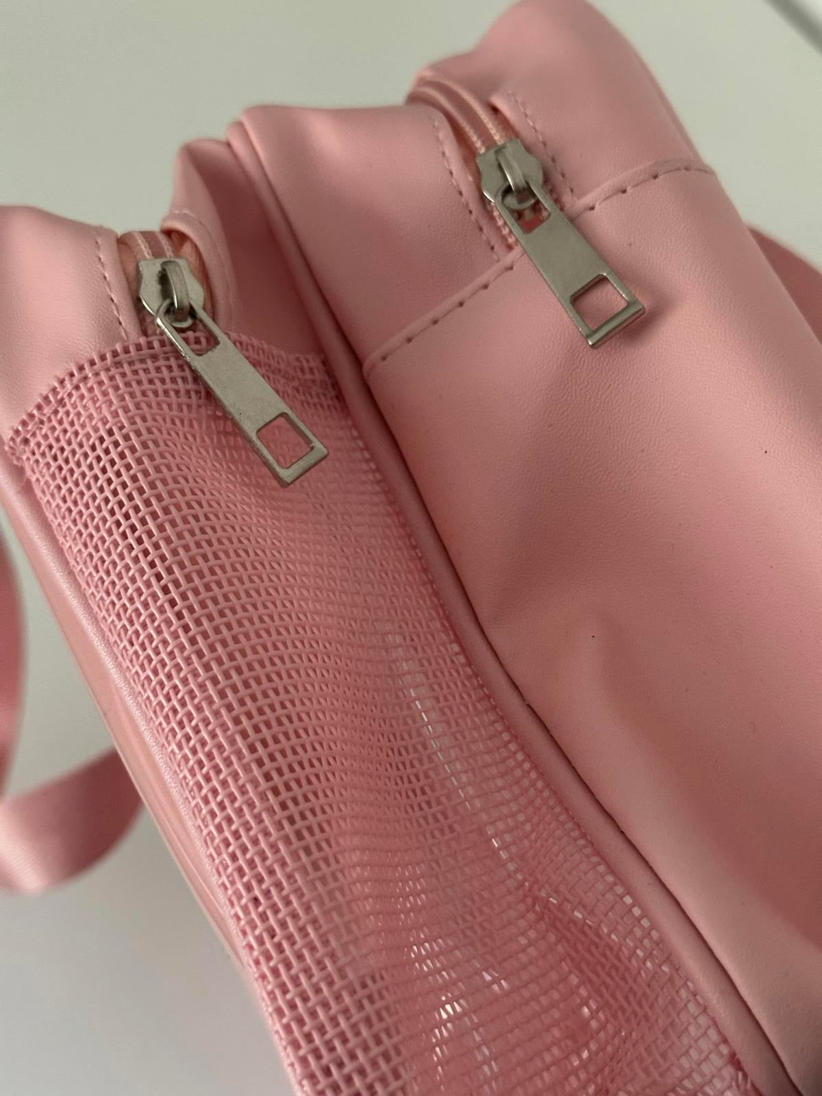 Pink Transparent Wash Bag with Dual Zippers